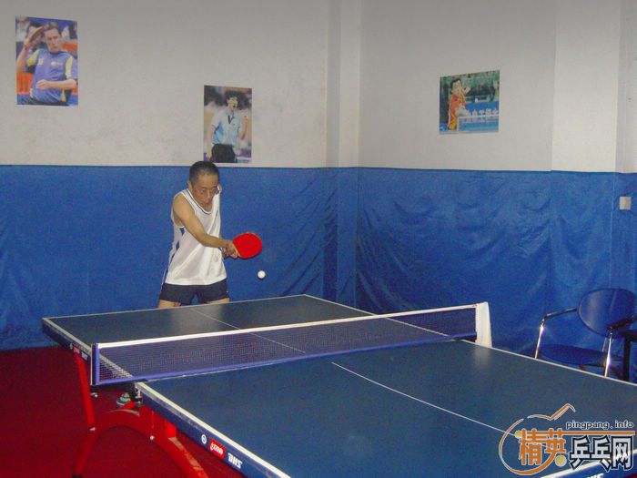 ��Ӣ�����ൺƹ�Ѿ��ֲ����ѻ���·ݵڶ���������ʵ