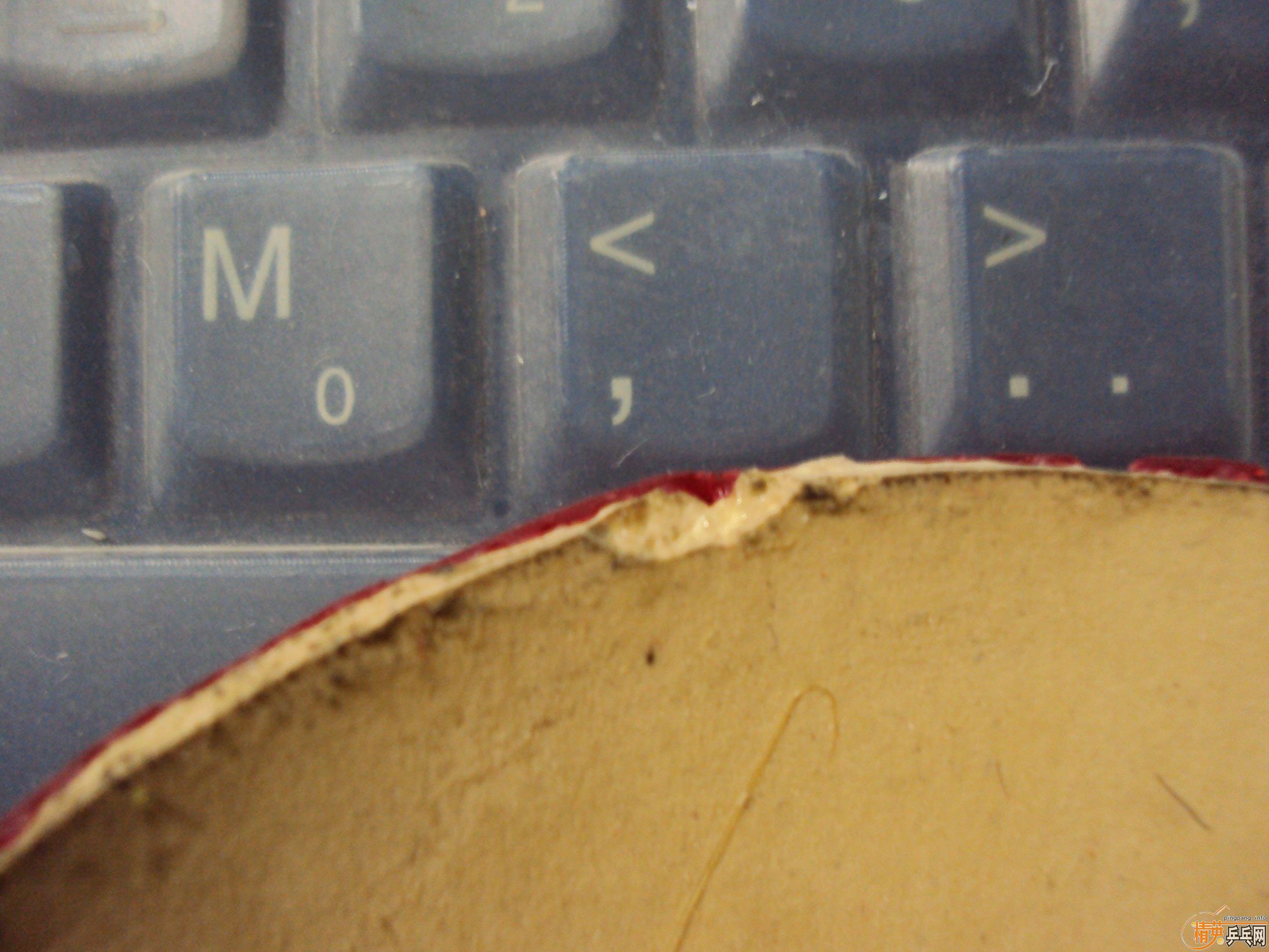 ���ų���F1