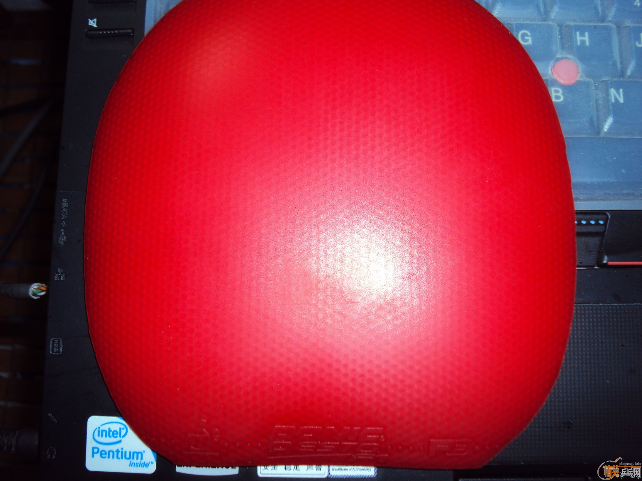 ���ų���F1