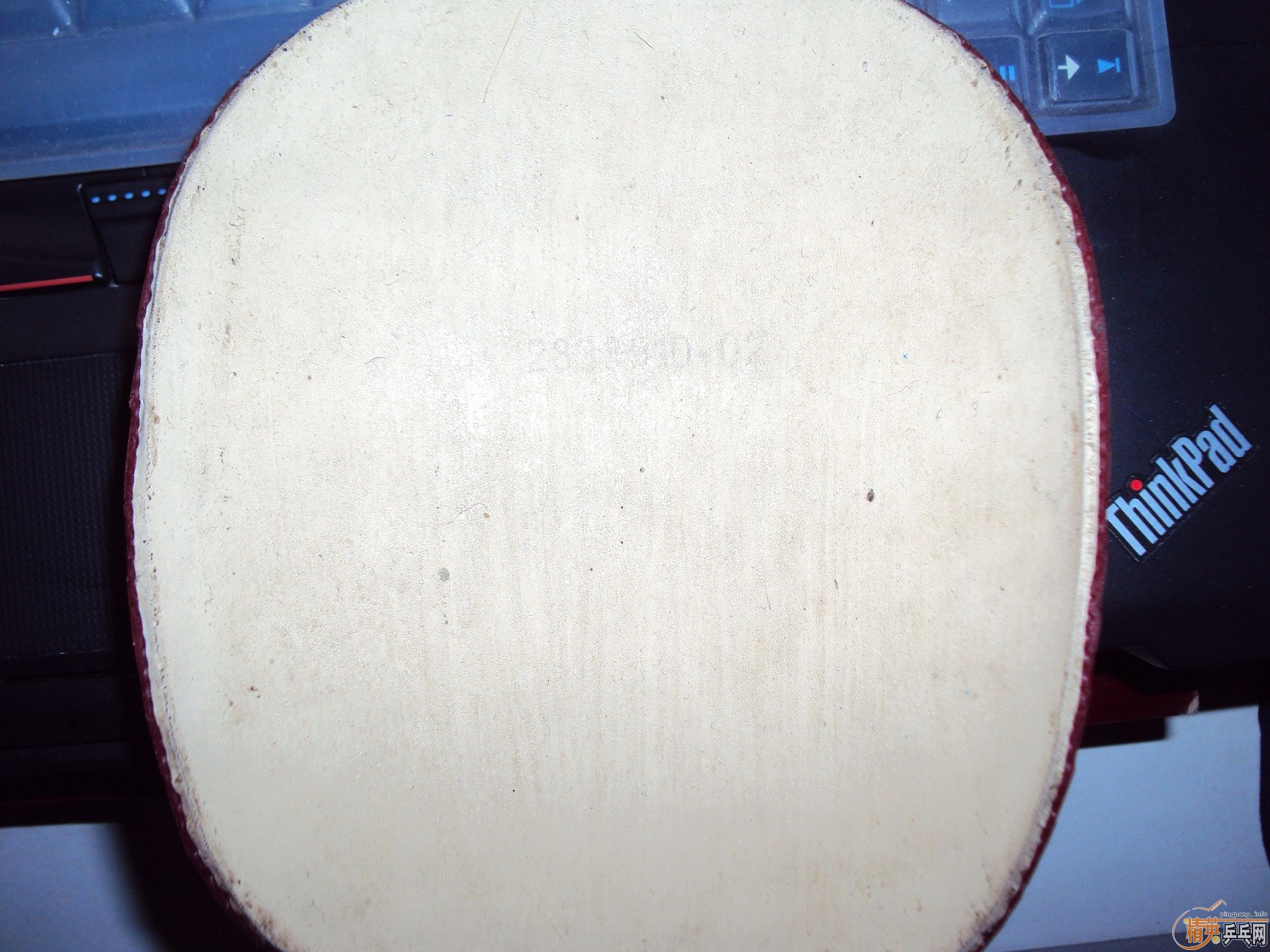 ���ų���F1