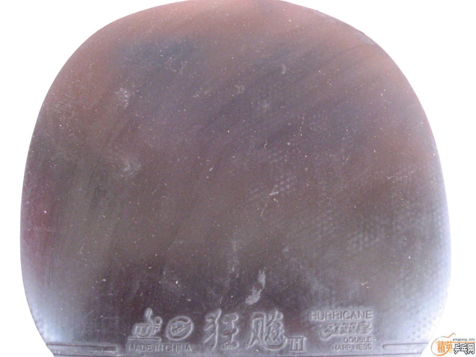 �����޹���