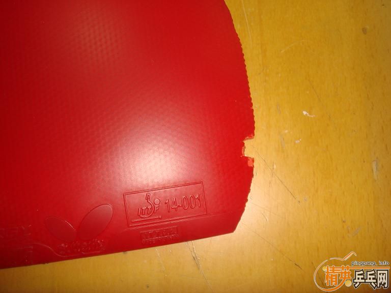 ����ɫֱ����T05�۸�100����ݣ�