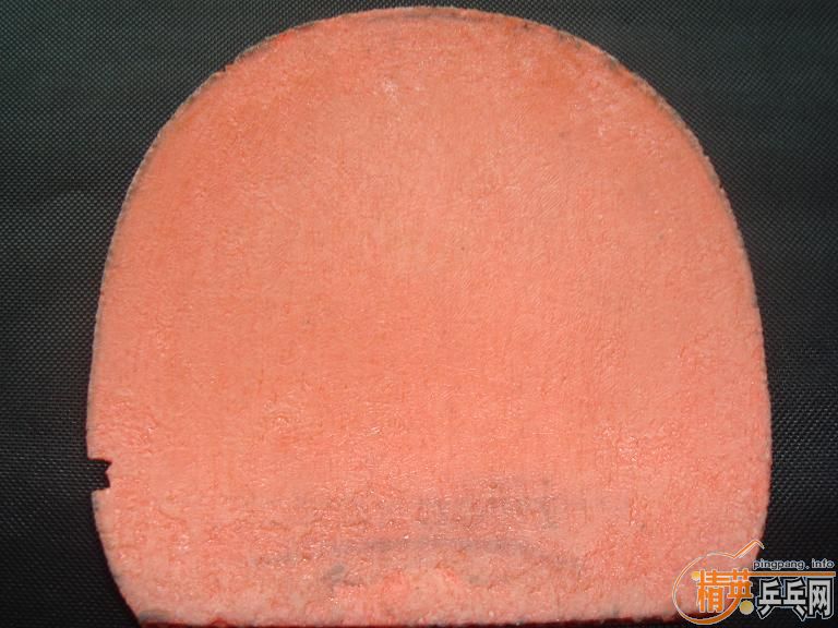 ����ɫֱ����T05�۸�100����ݣ�