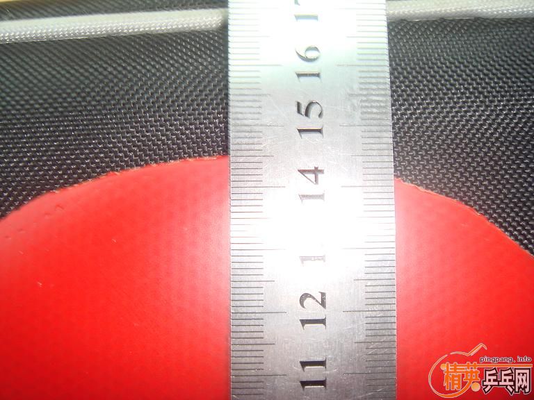 ����ɫֱ����T05�۸�100����ݣ�