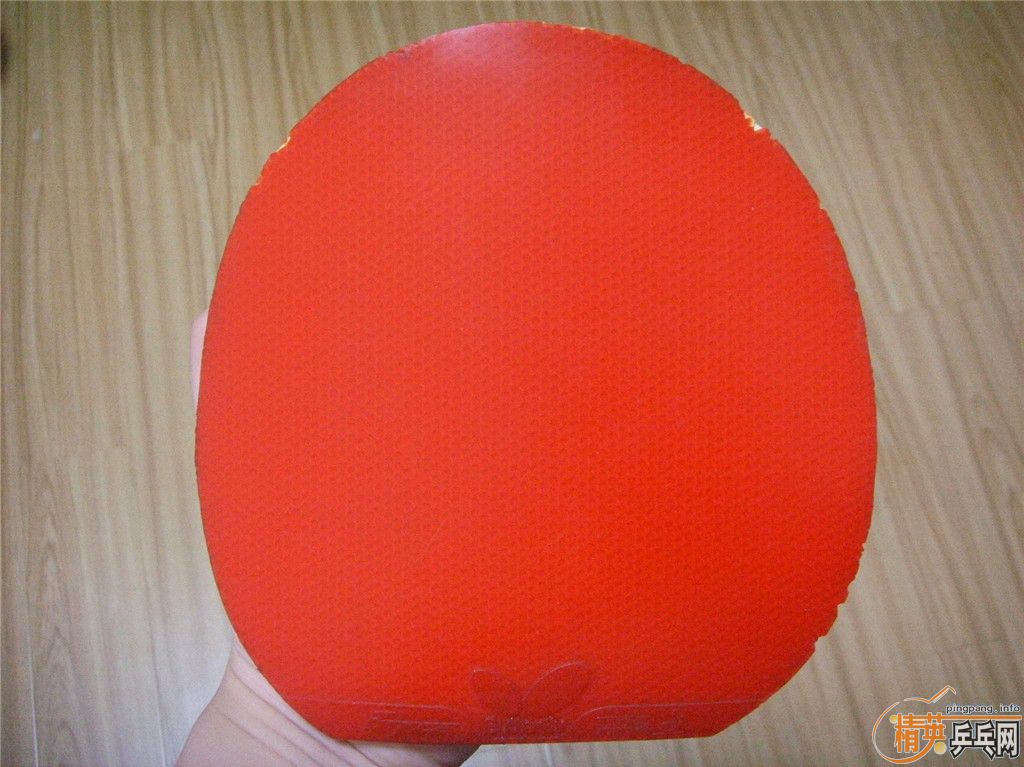 9�� ��ɫ���Ӳ�� ֧��֧����