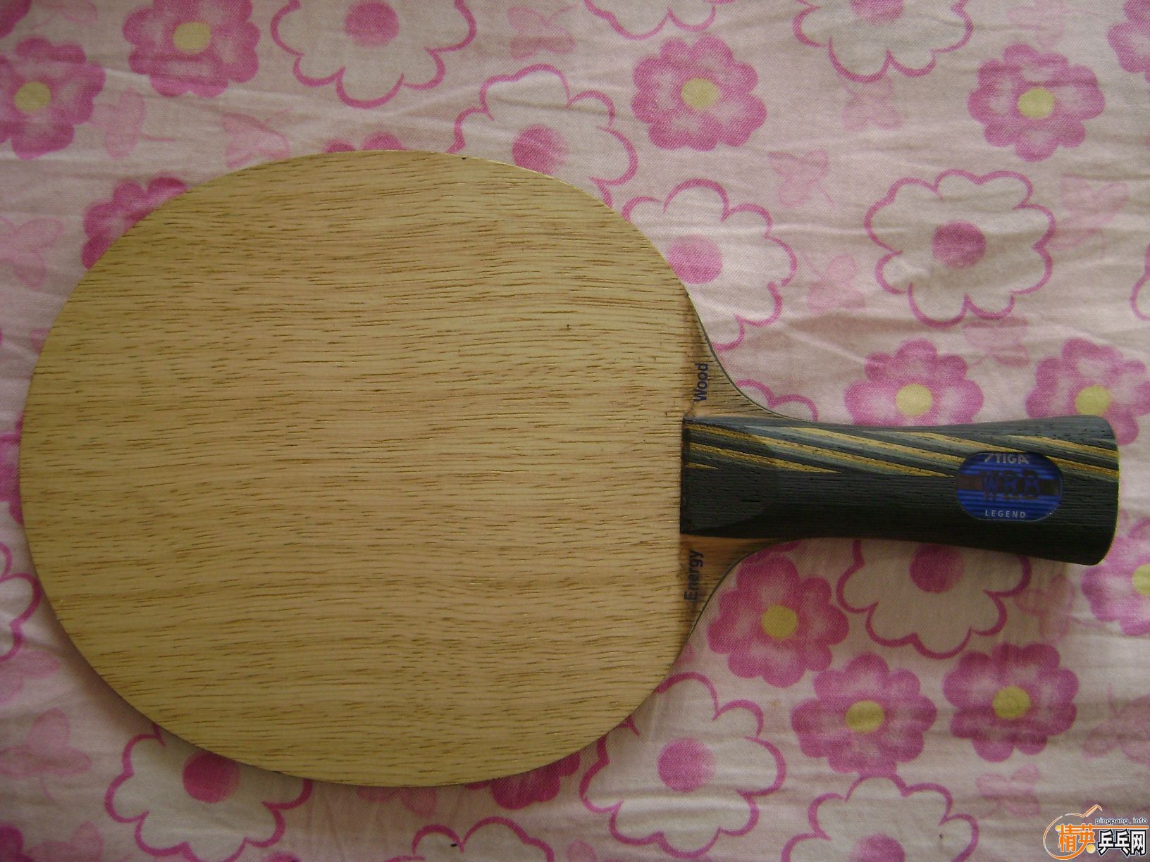 ˹�ٿ�EG����