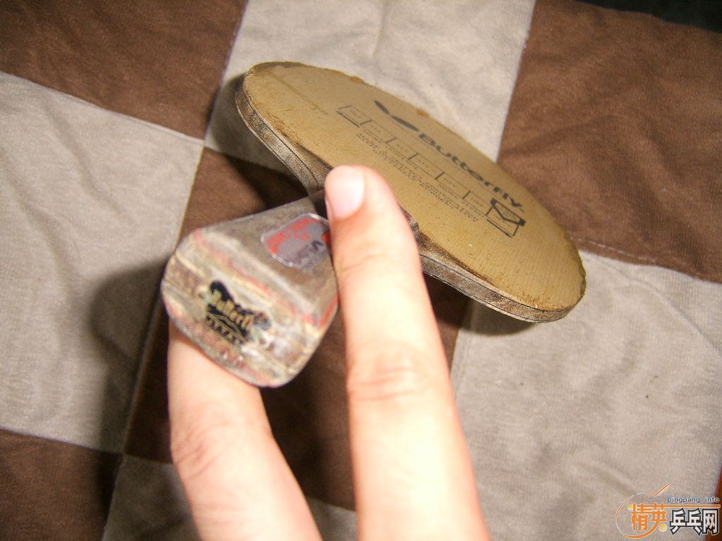 ��ֻ��̼180�����켫3������zap