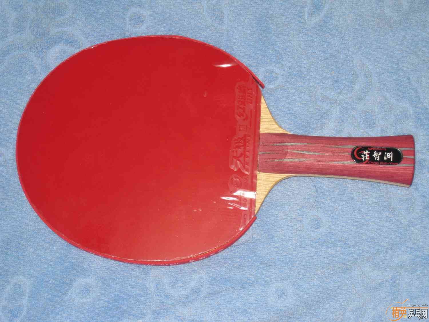 ����֧���µİ���