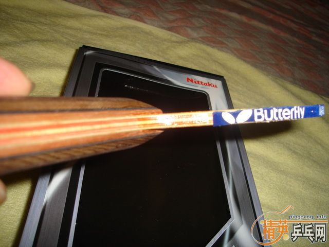 �ٳ��ڶ�ֻ������