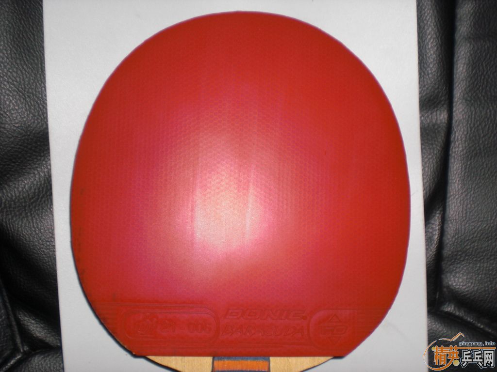 9�º�����һֻ+BARACUDA