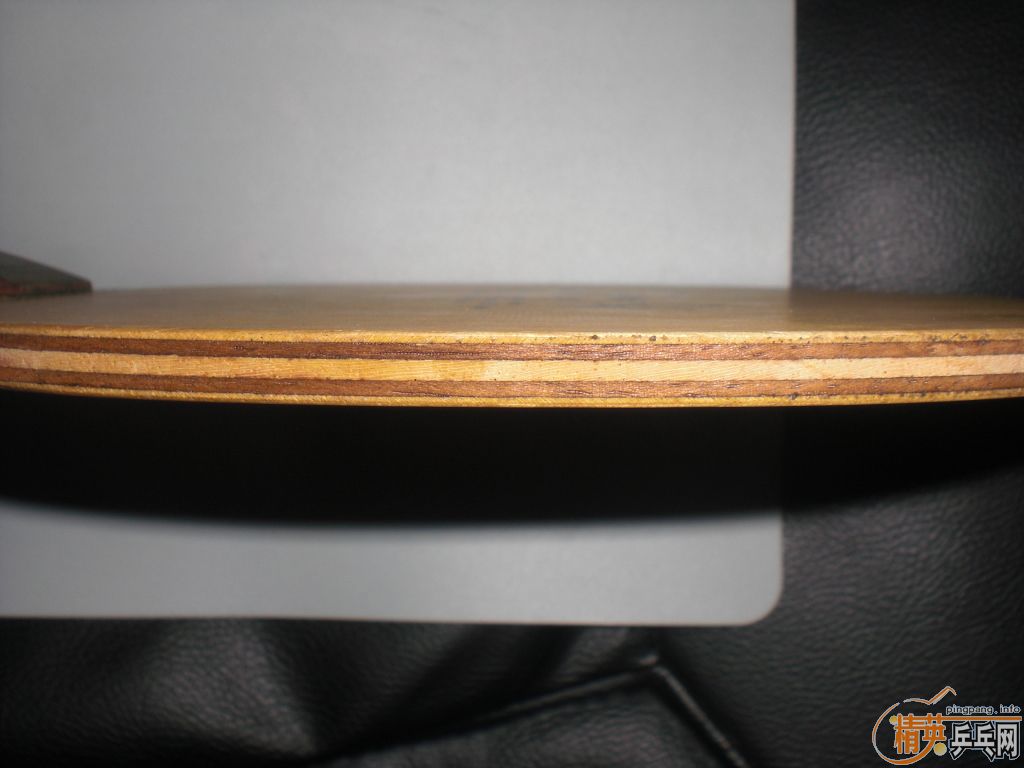 9�º�����һֻ+BARACUDA