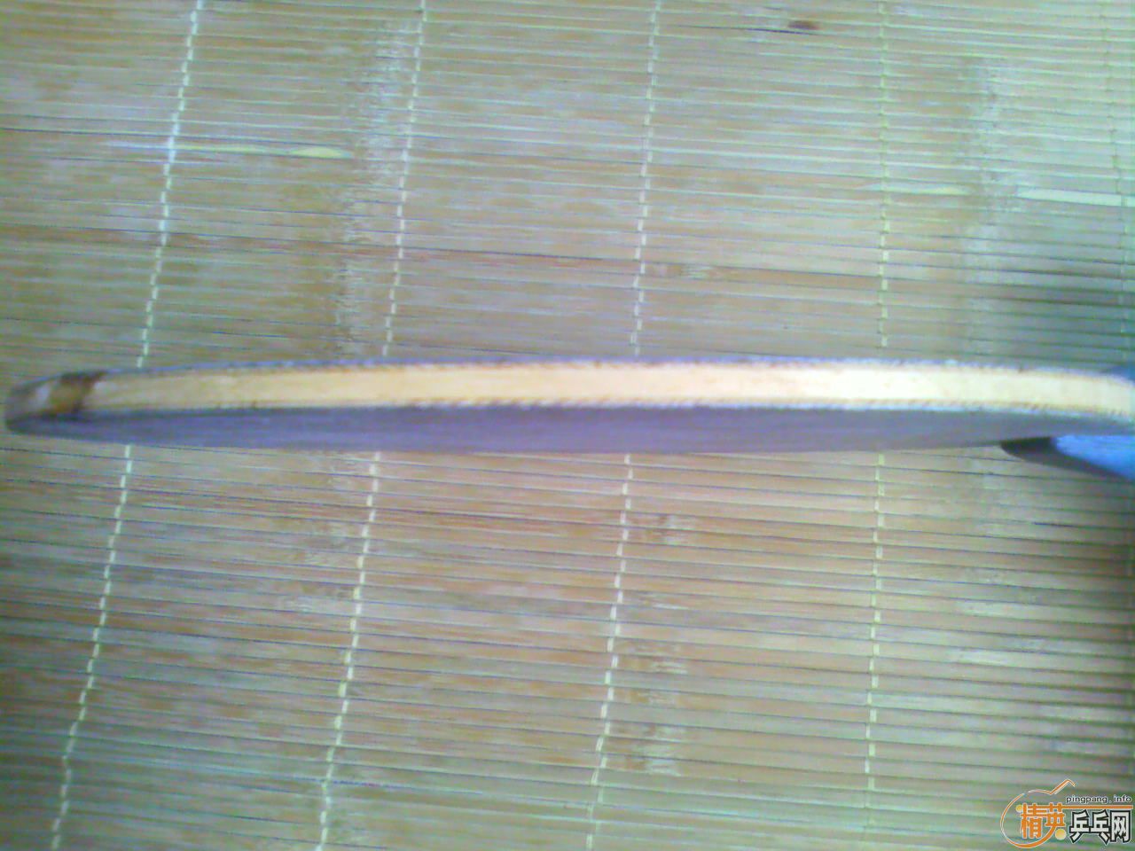 06𩣡ˣ300ͻһ顣
