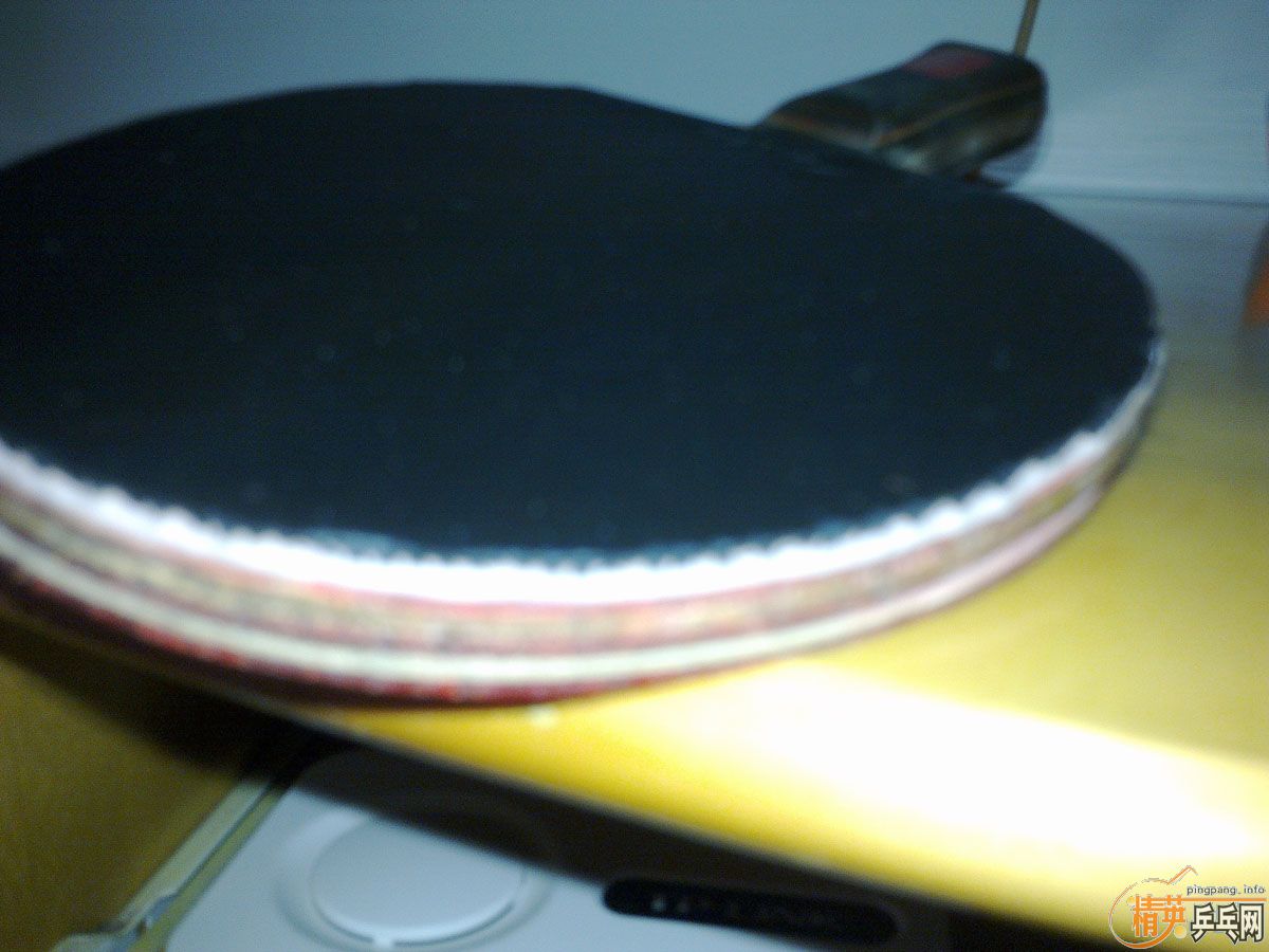 ����һֻ��������Ȥ�Ŀ���������