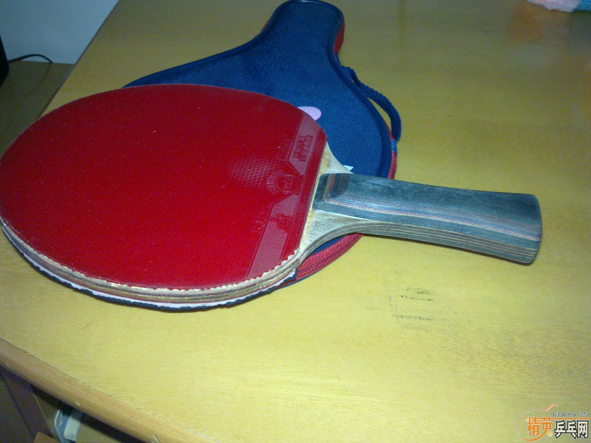 ����һֻ��������Ȥ�Ŀ���������