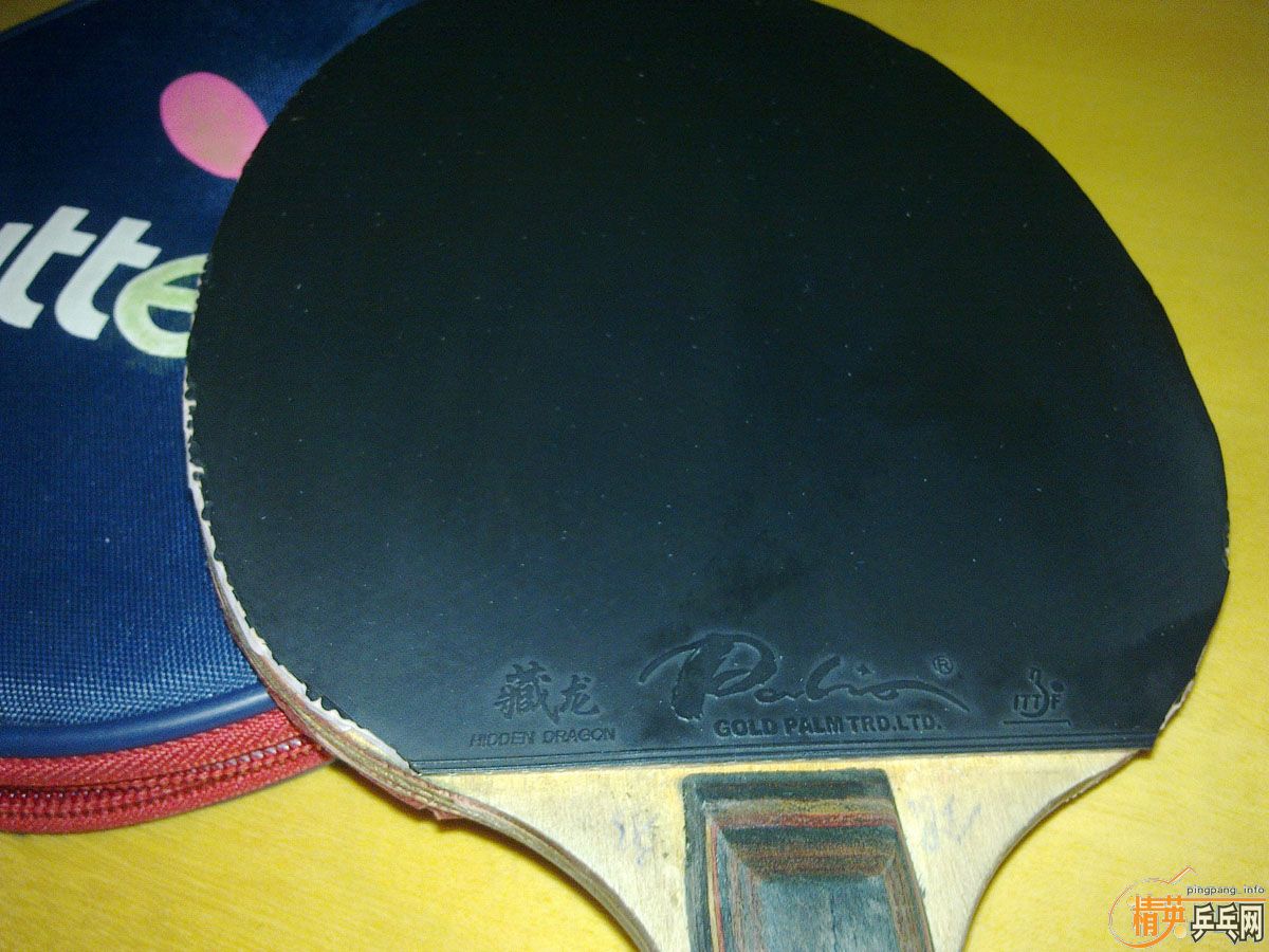 ����һֻ��������Ȥ�Ŀ���������