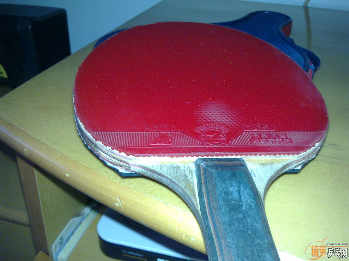 ����һֻ��������Ȥ�Ŀ���������