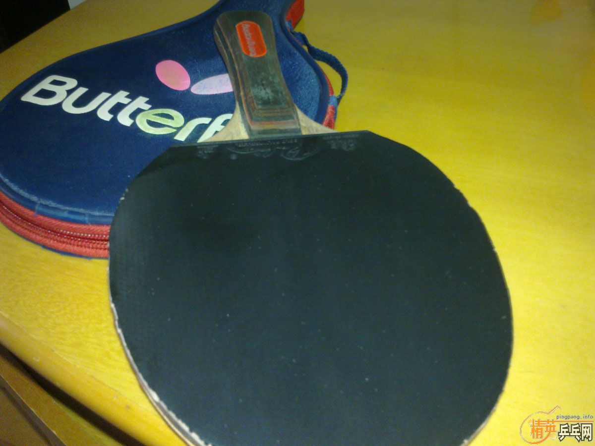 ����һֻ��������Ȥ�Ŀ���������