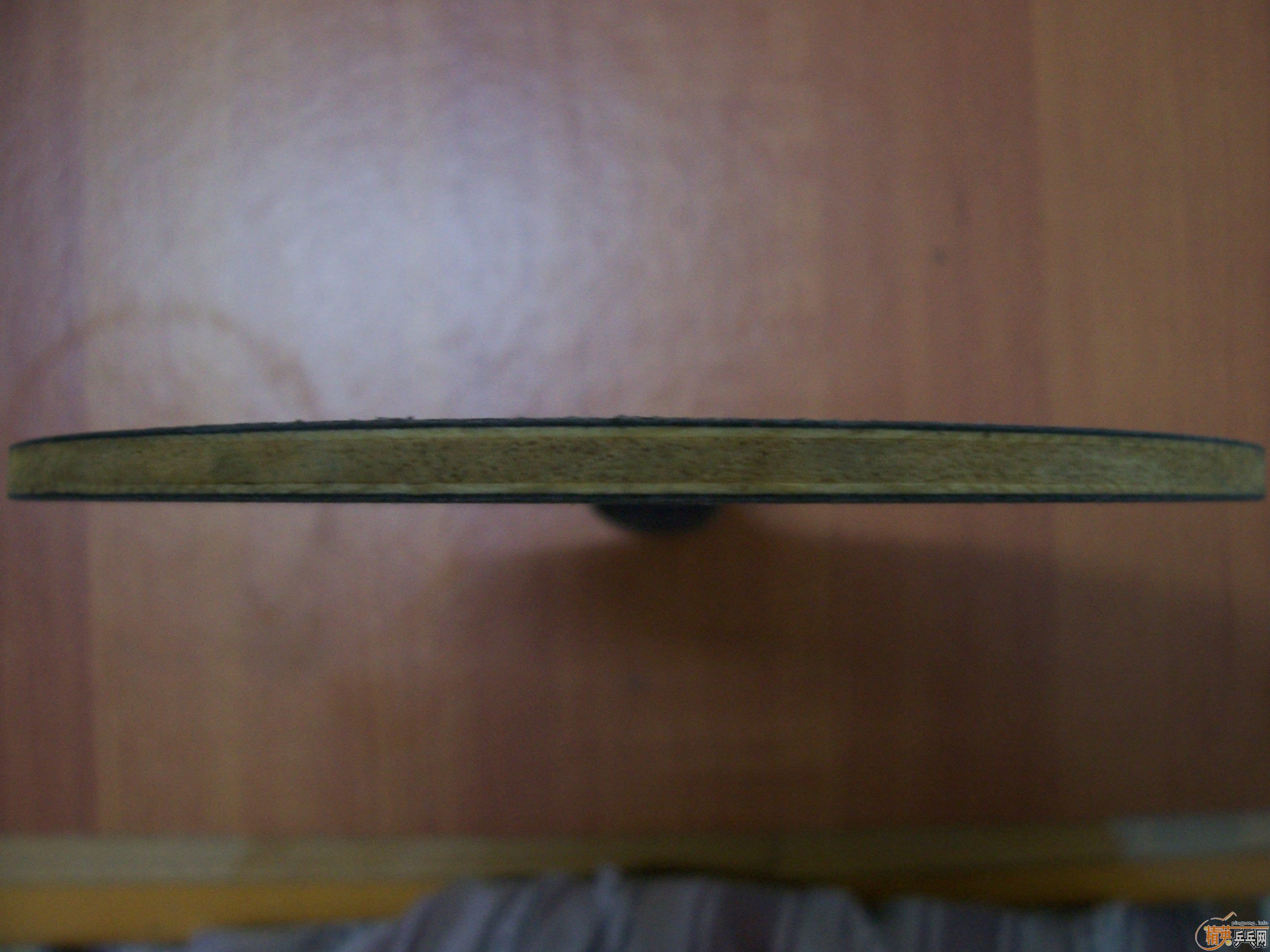 [�����ѷ���]������+YASAKA ZAP�����׽� 260����