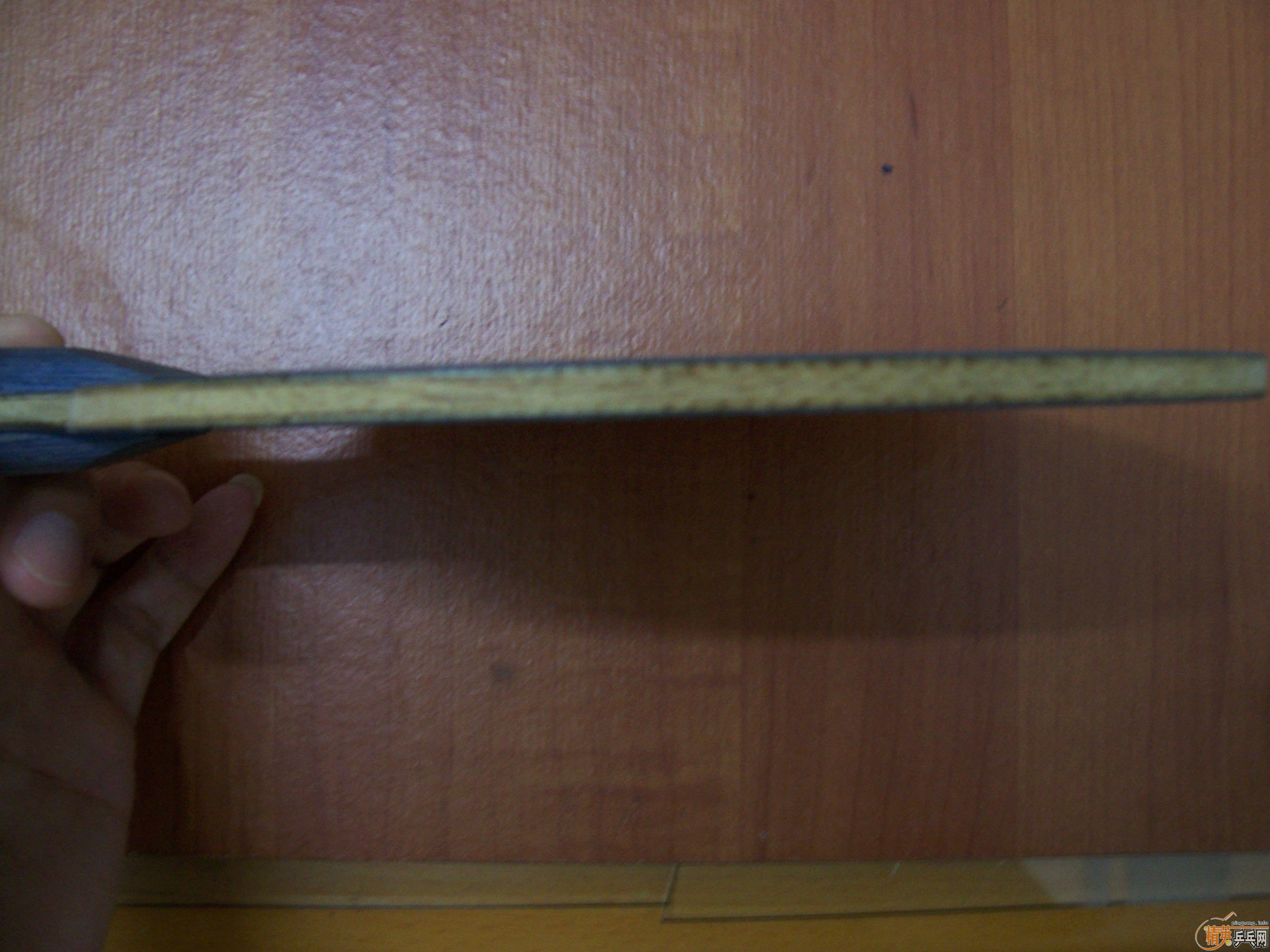 [�����ѷ���]������+YASAKA ZAP�����׽� 260����