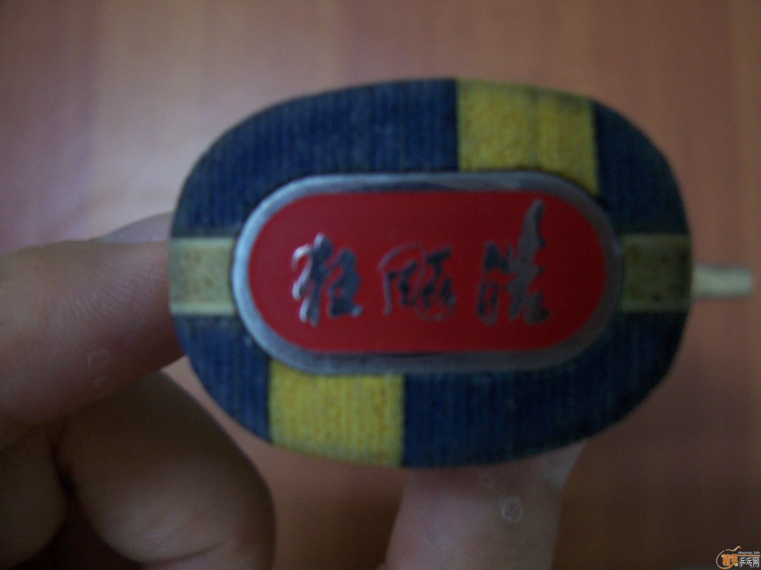 [�����ѷ���]������+YASAKA ZAP�����׽� 260����