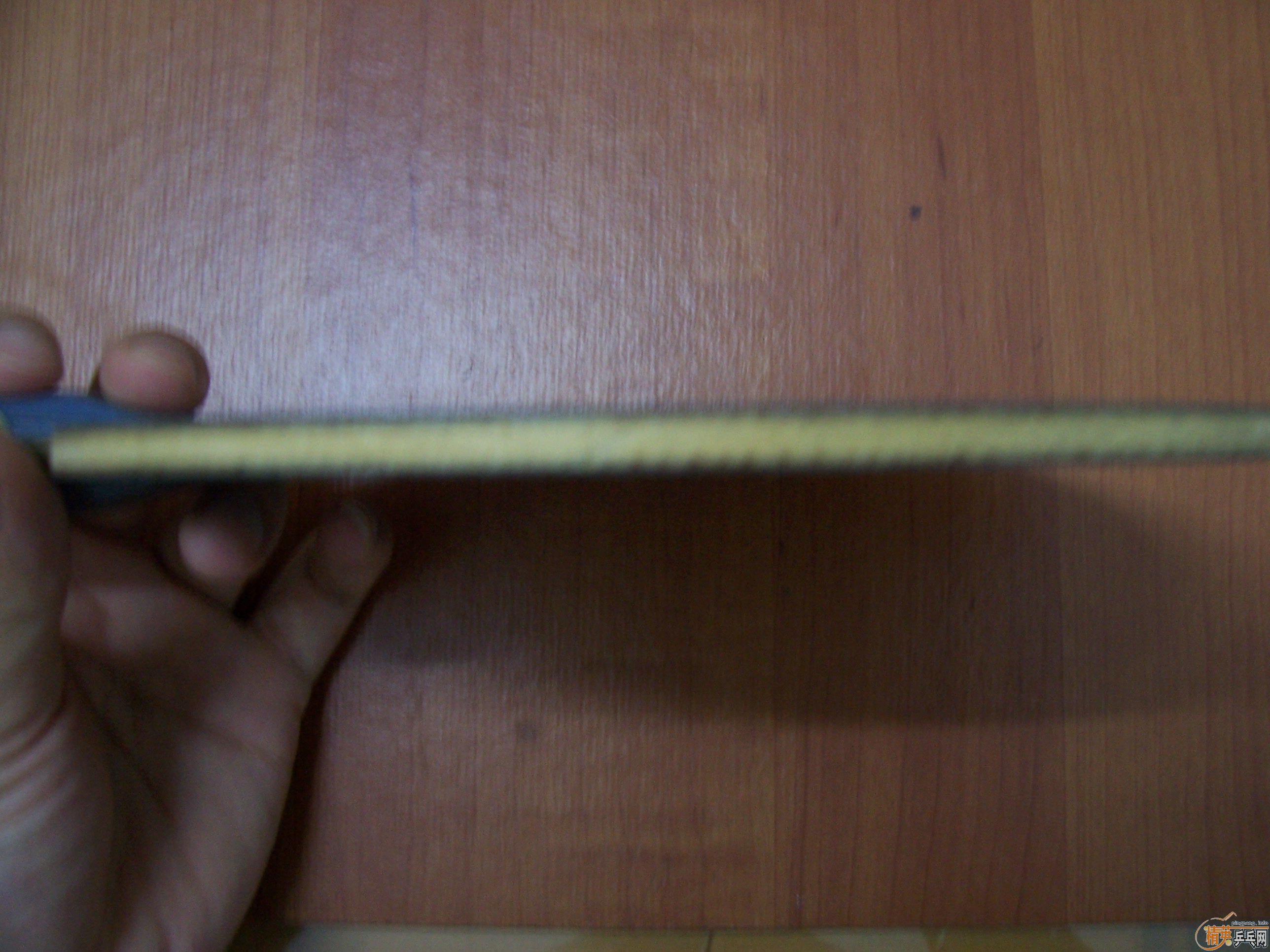 [�����ѷ���]������+YASAKA ZAP�����׽� 260����