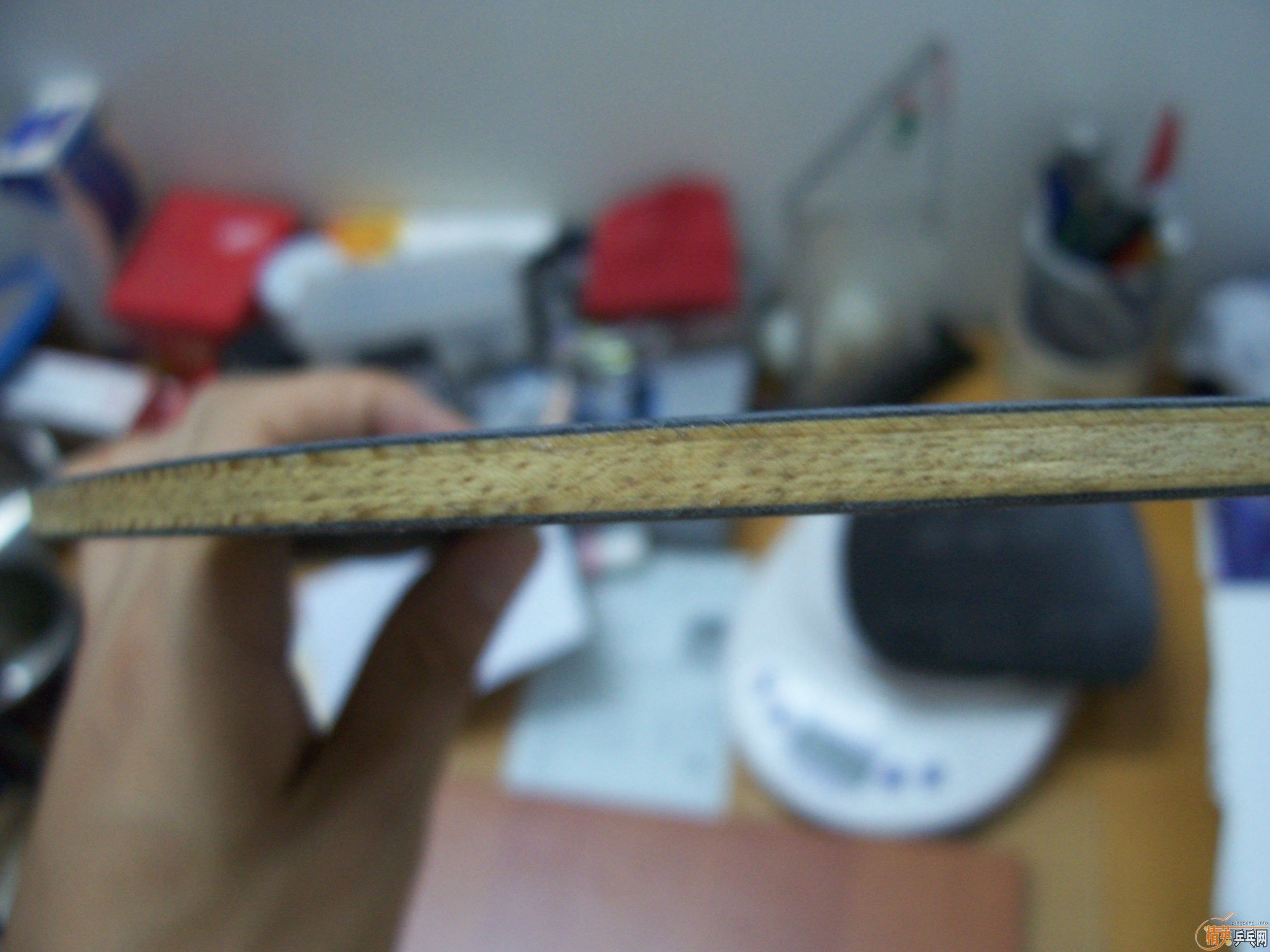 [�����ѷ���]������+YASAKA ZAP�����׽� 260����