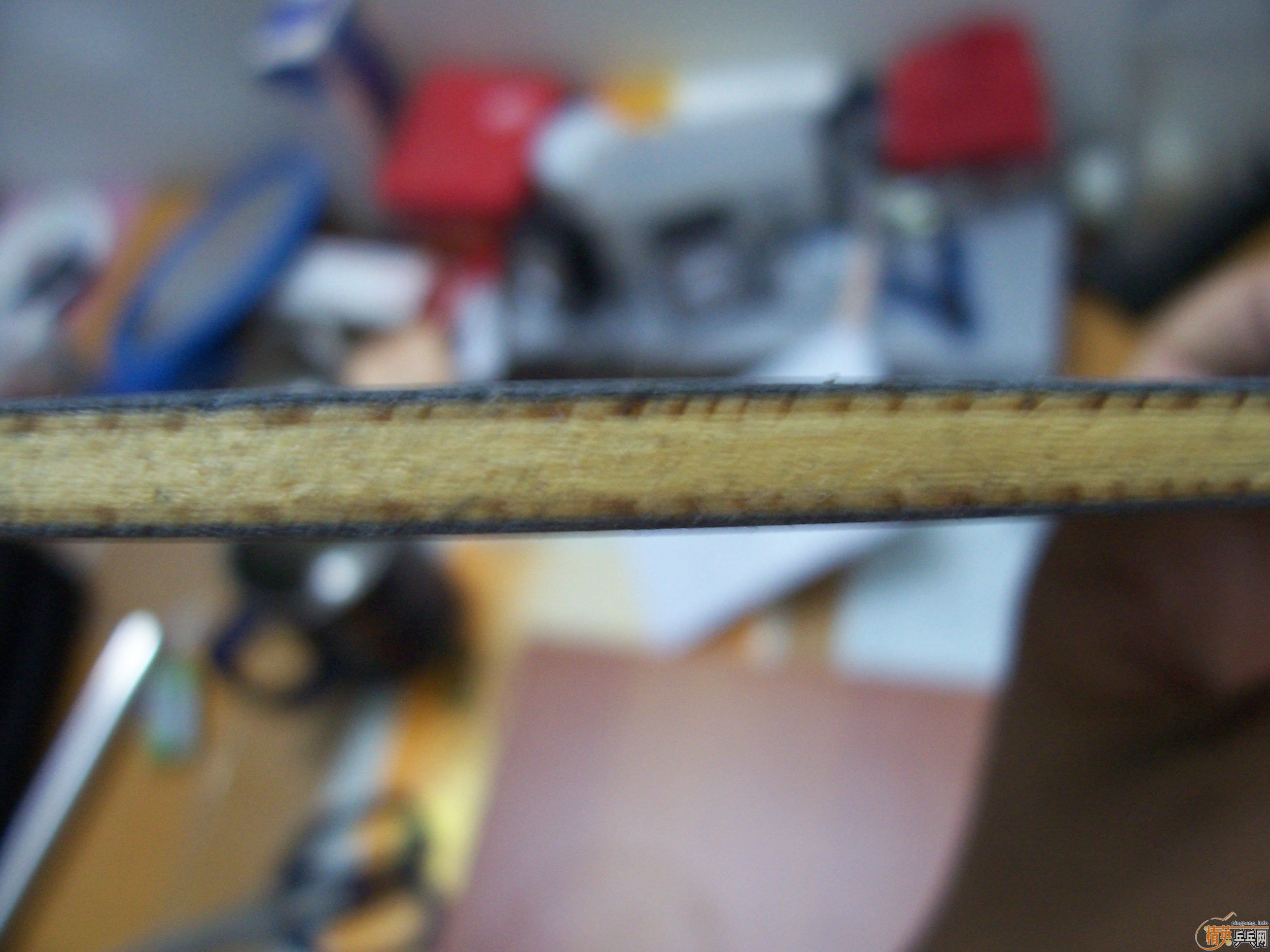 [�����ѷ���]������+YASAKA ZAP�����׽� 260����