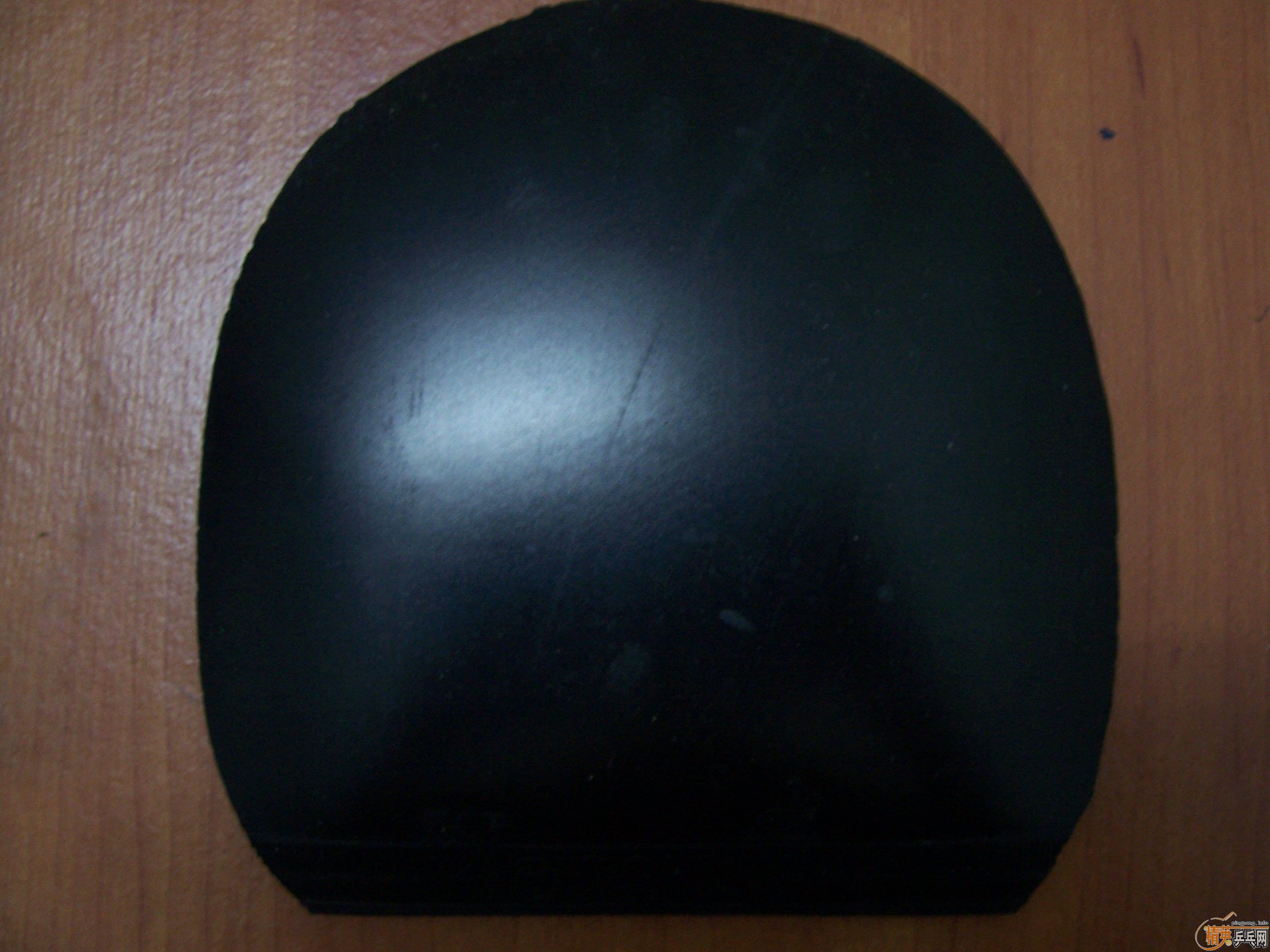 [�����ѷ���]������+YASAKA ZAP�����׽� 260����