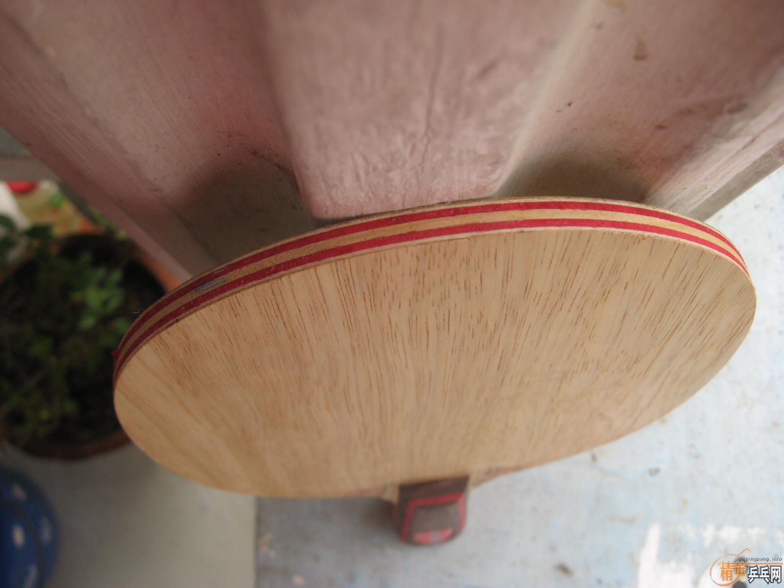 ��ʽϸ��cl,300���ʣ�����������֧����