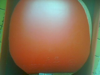 ����YEO��ֻ������������