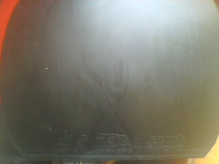 ����YEO��ֻ������������