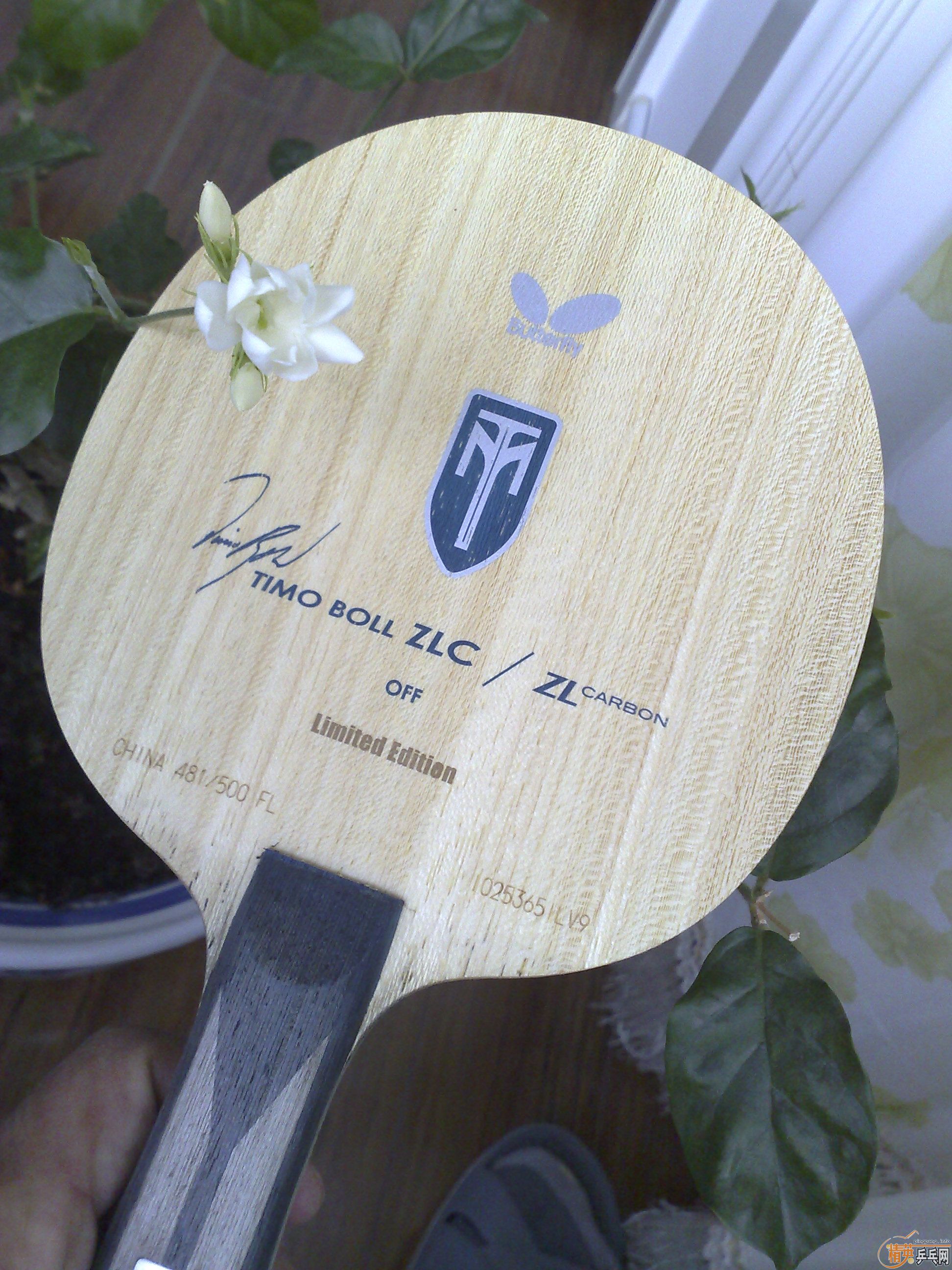 ��������û����ʱ������ˣ�������������ZLC