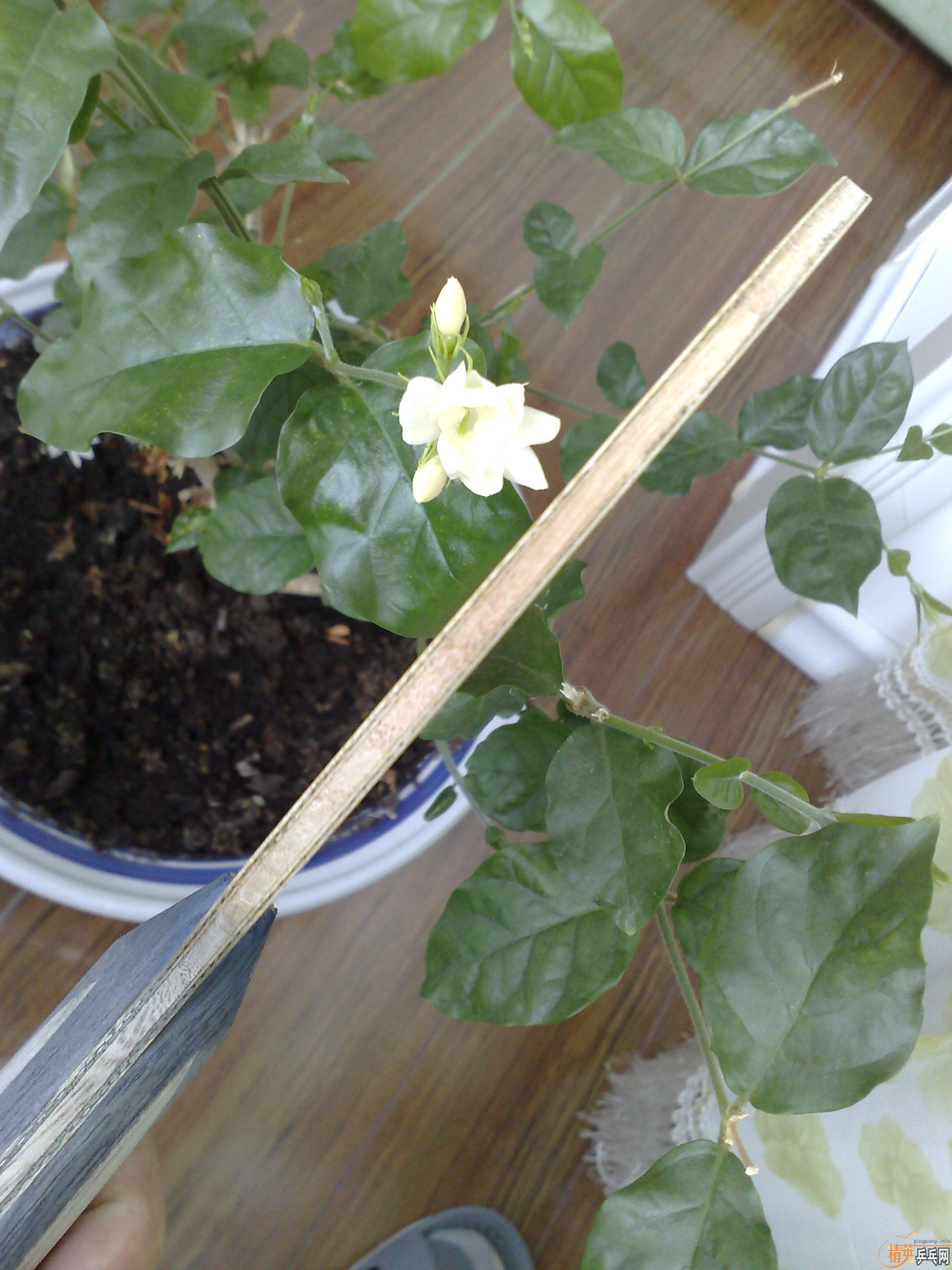 ��������û����ʱ������ˣ�������������ZLC