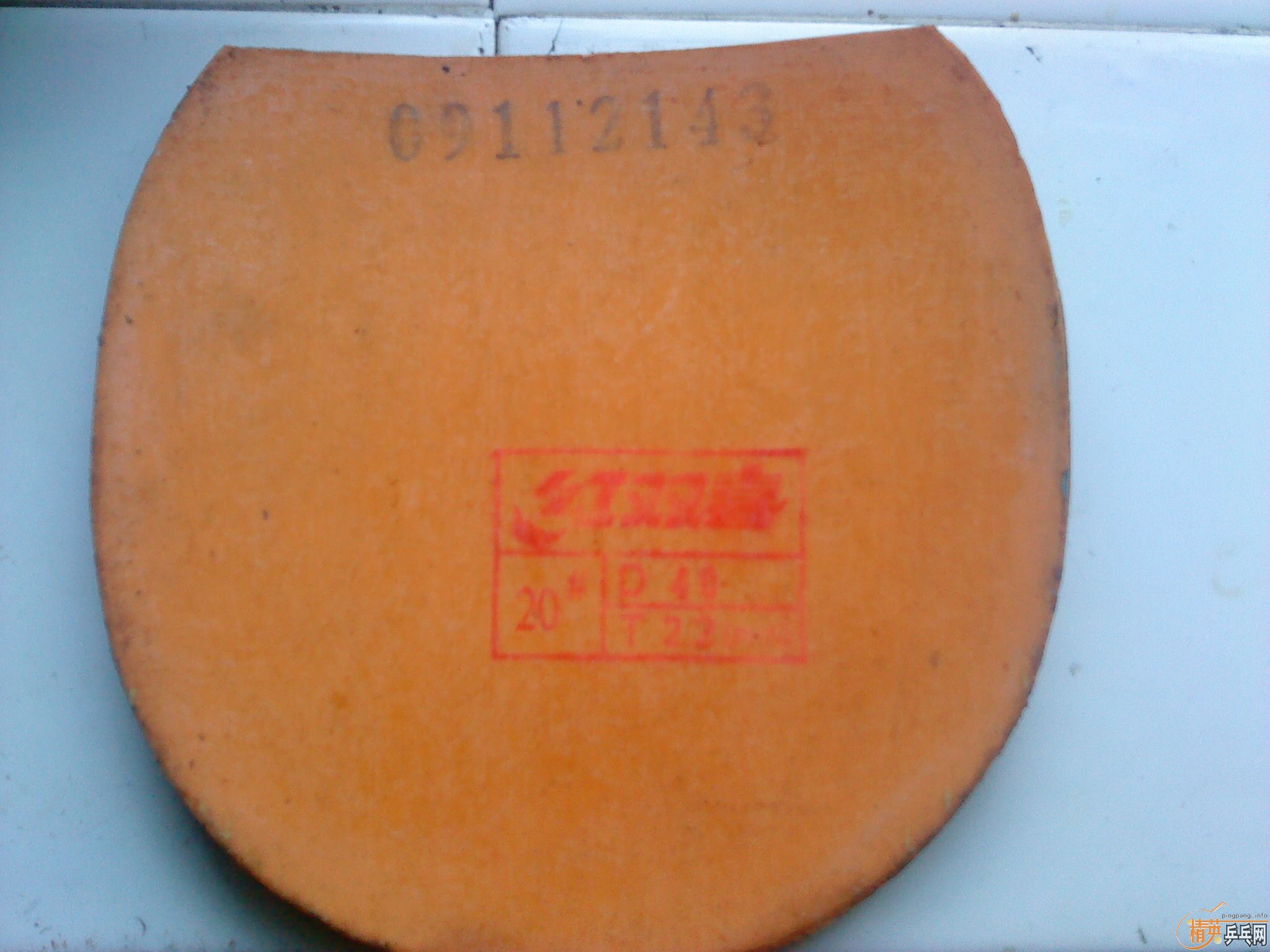 �ͼ۳���һ��ʡ���һ���������ǽ�Ƥ