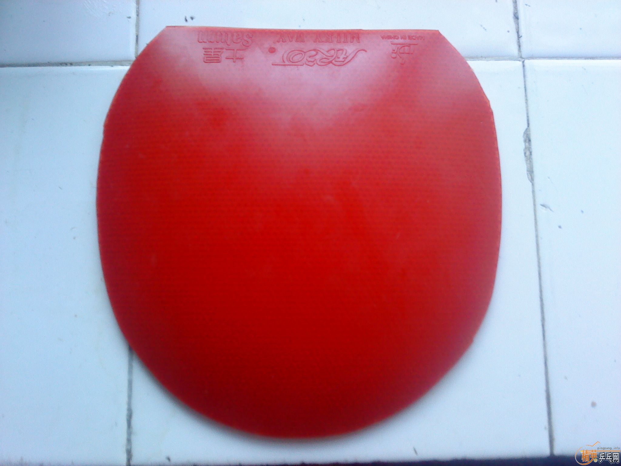 �ͼ۳���һ��ʡ���һ���������ǽ�Ƥ