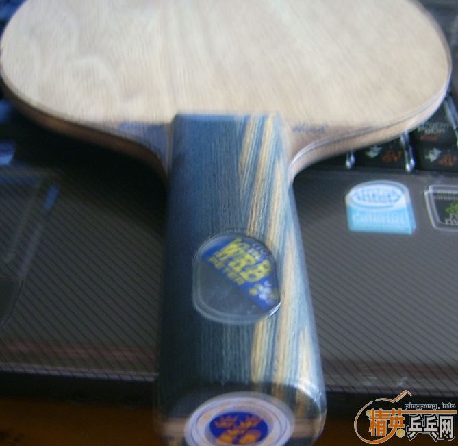 ����˹�ٿ�EG��ST��+����bryce��һ�棩