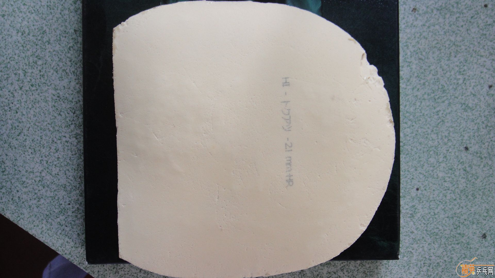 �����ѳ������ƺ���������TOP 2������