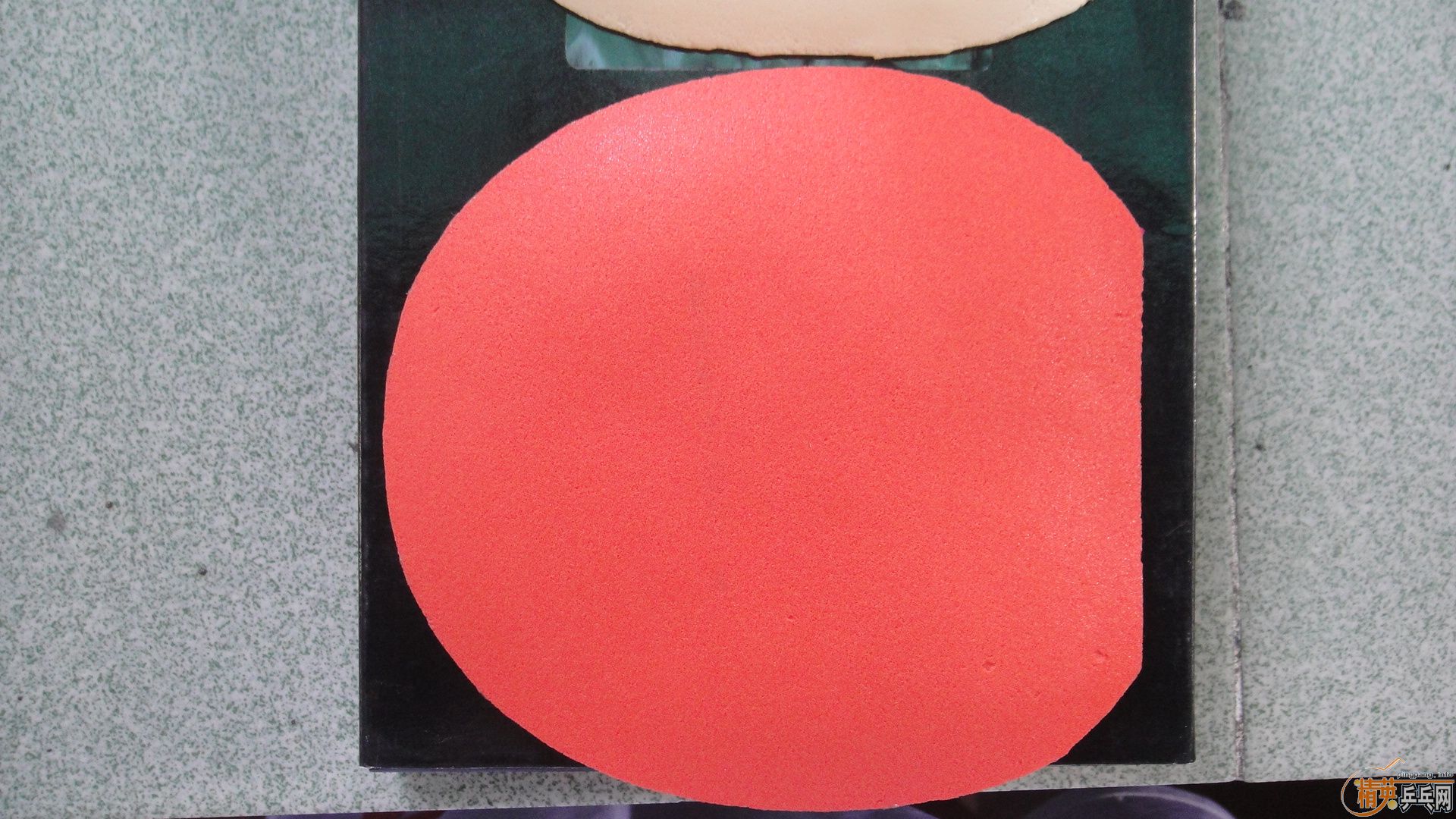 �����ѳ������ƺ���������TOP 2������