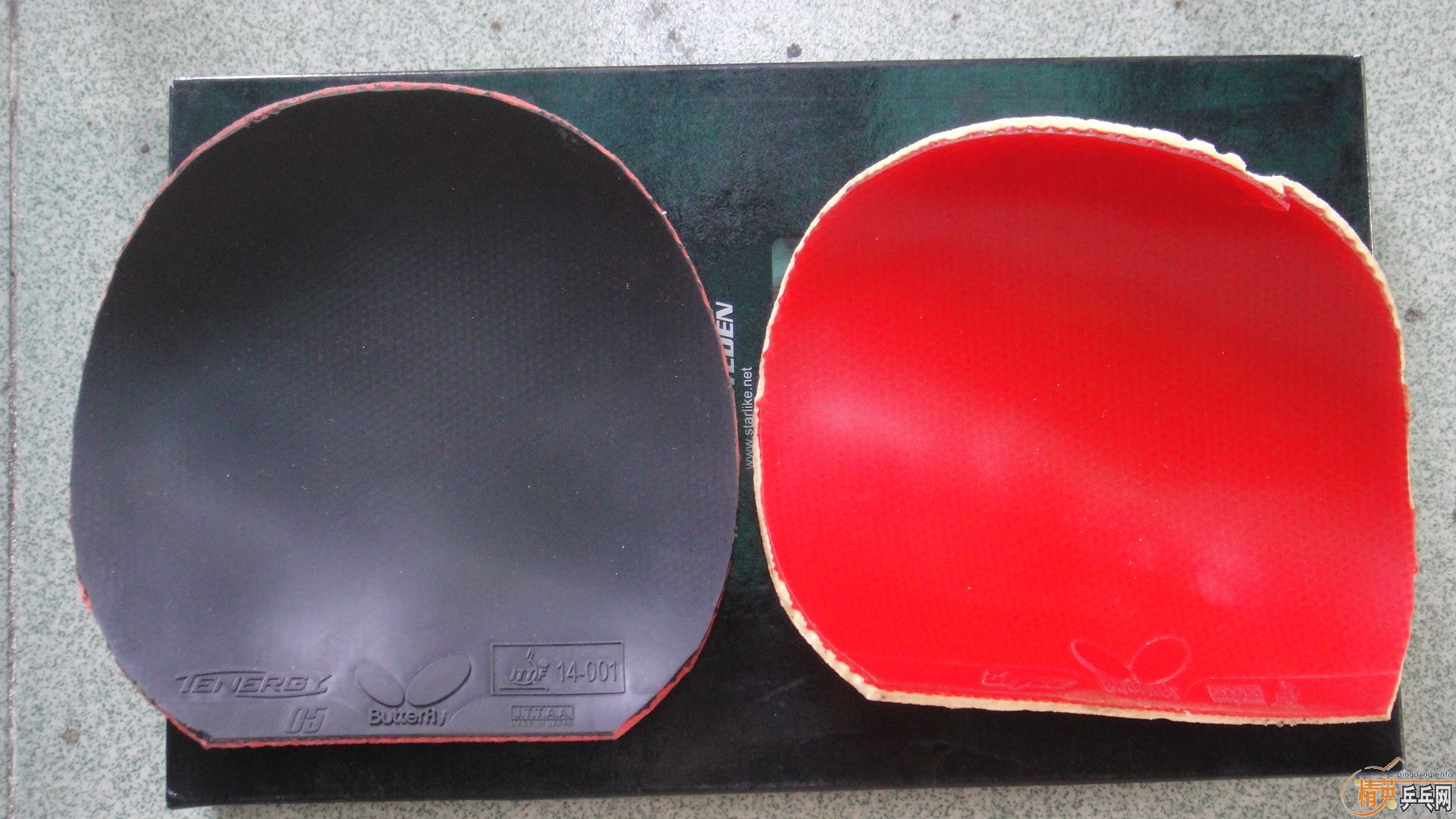 �����ѳ������ƺ���������TOP 2������