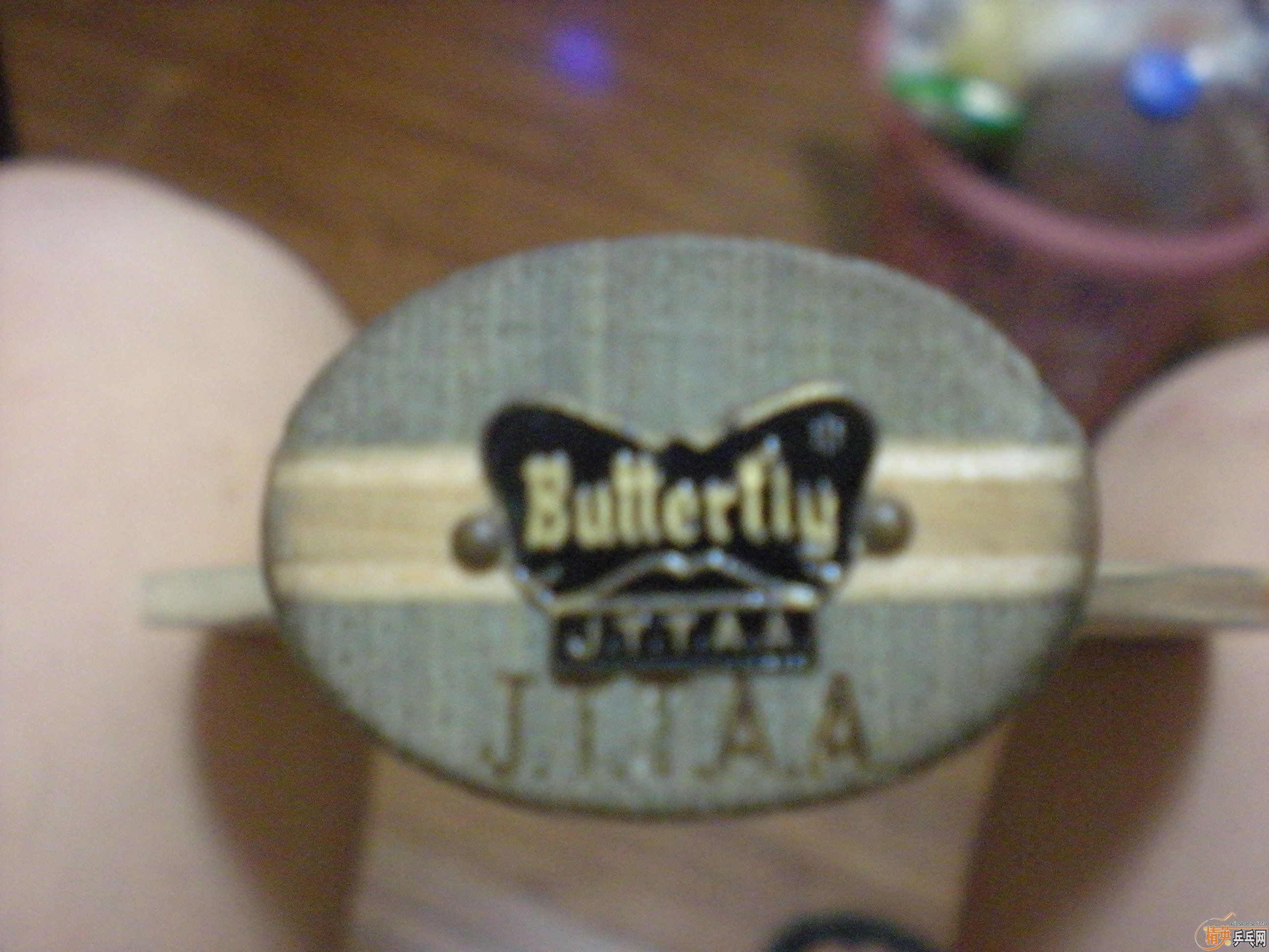 �����ѳ������ƺ���������TOP 2������