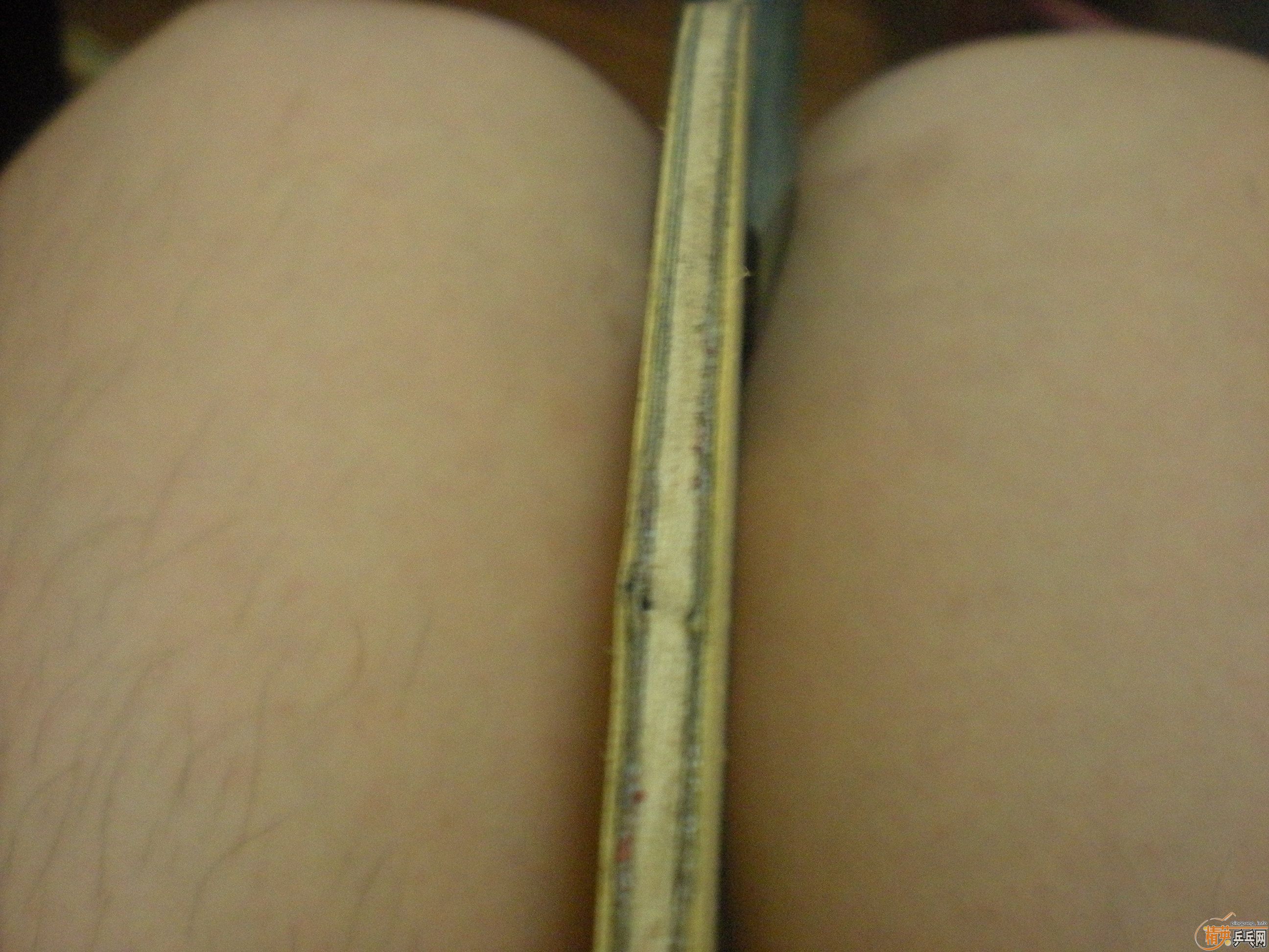 �����ѳ������ƺ���������TOP 2������