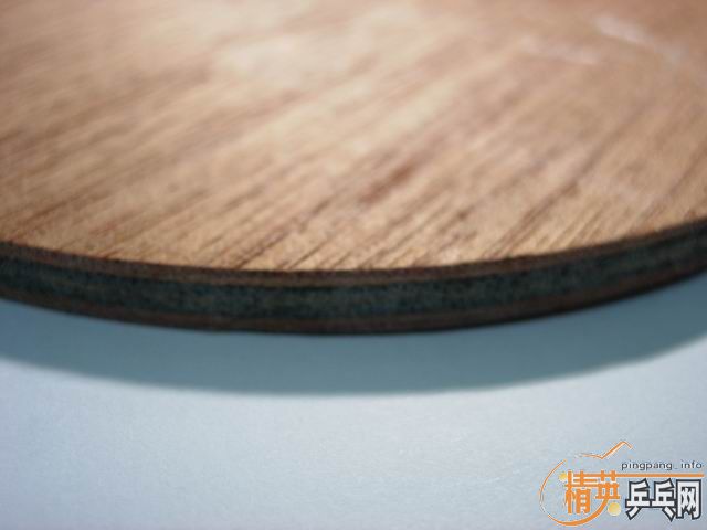 ���Ѽ��ټ�30��ǰ���հ���STIGA Hans Alser�� defensive wood��������