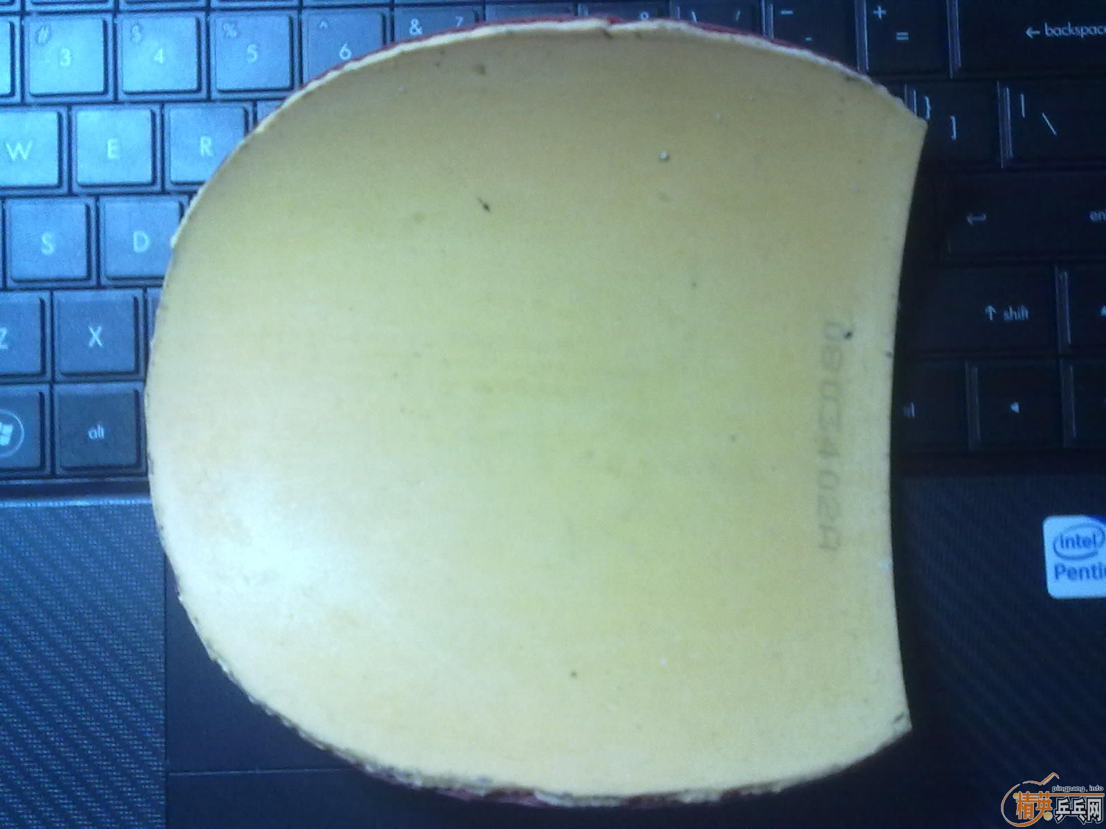 ��쭣��켫����V����