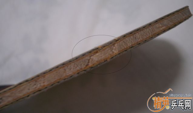 ������ˮ����FL