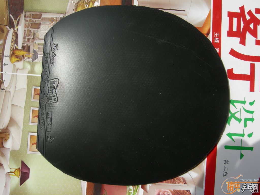 �����ѳ������ձ����ף����������꣡������