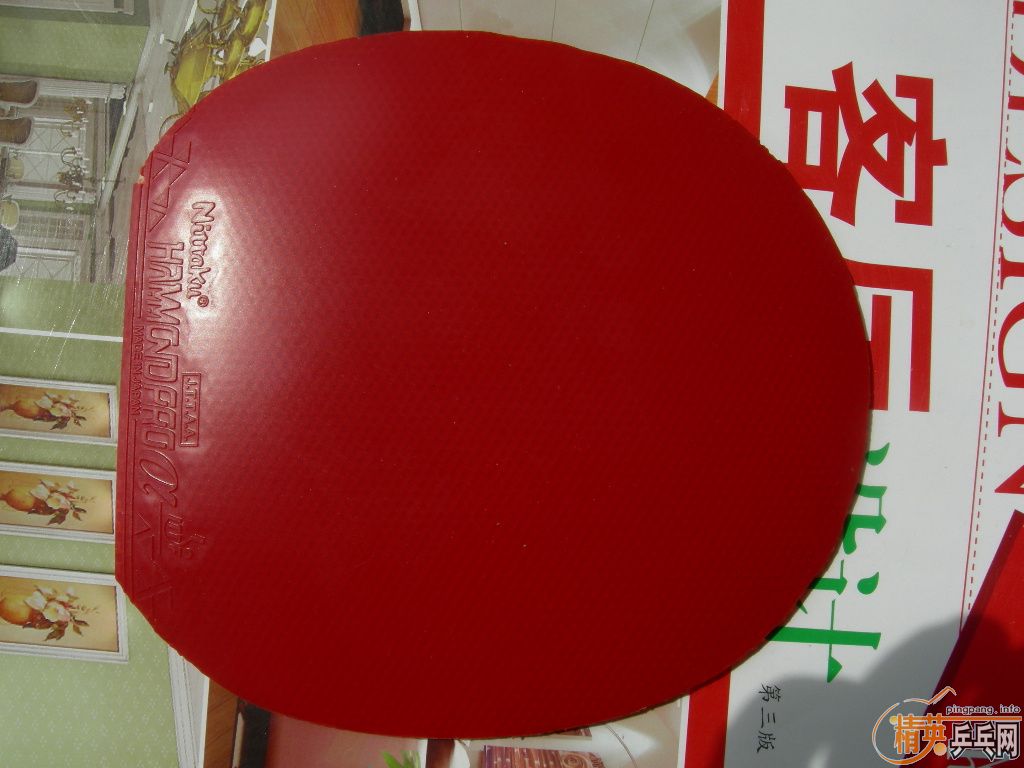 �����ѳ������ձ����ף����������꣡������