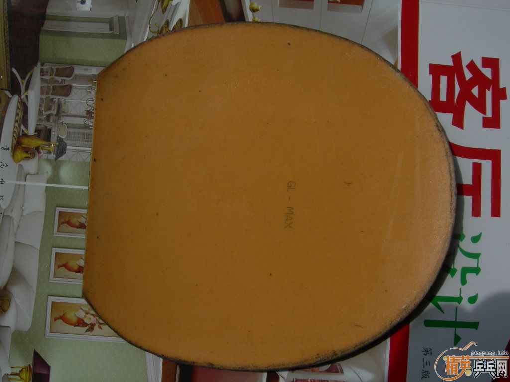 �����ѳ������ձ����ף����������꣡������