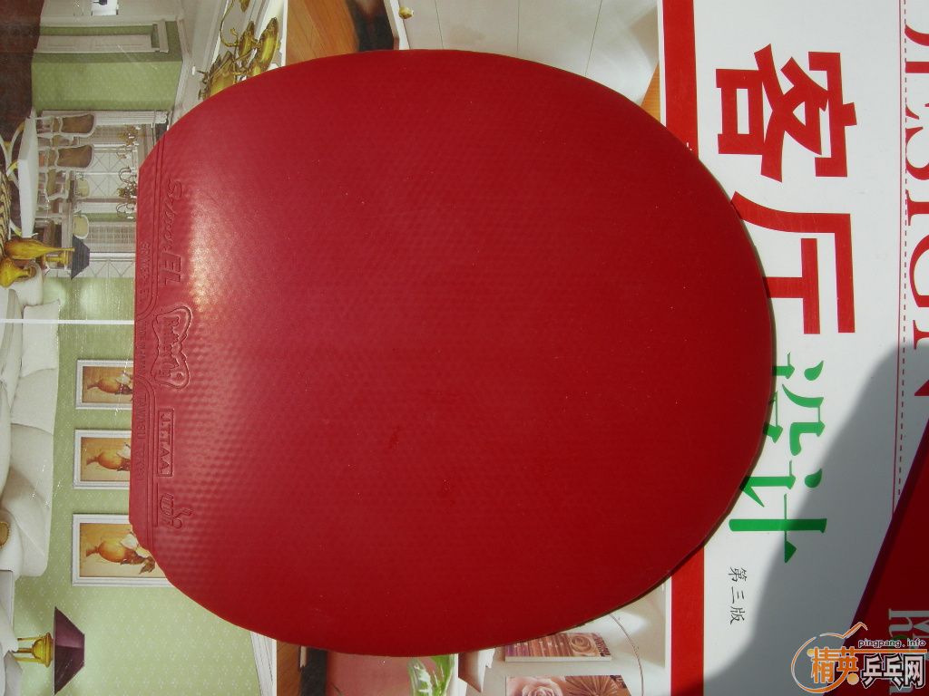 �����ѳ������ձ����ף����������꣡������