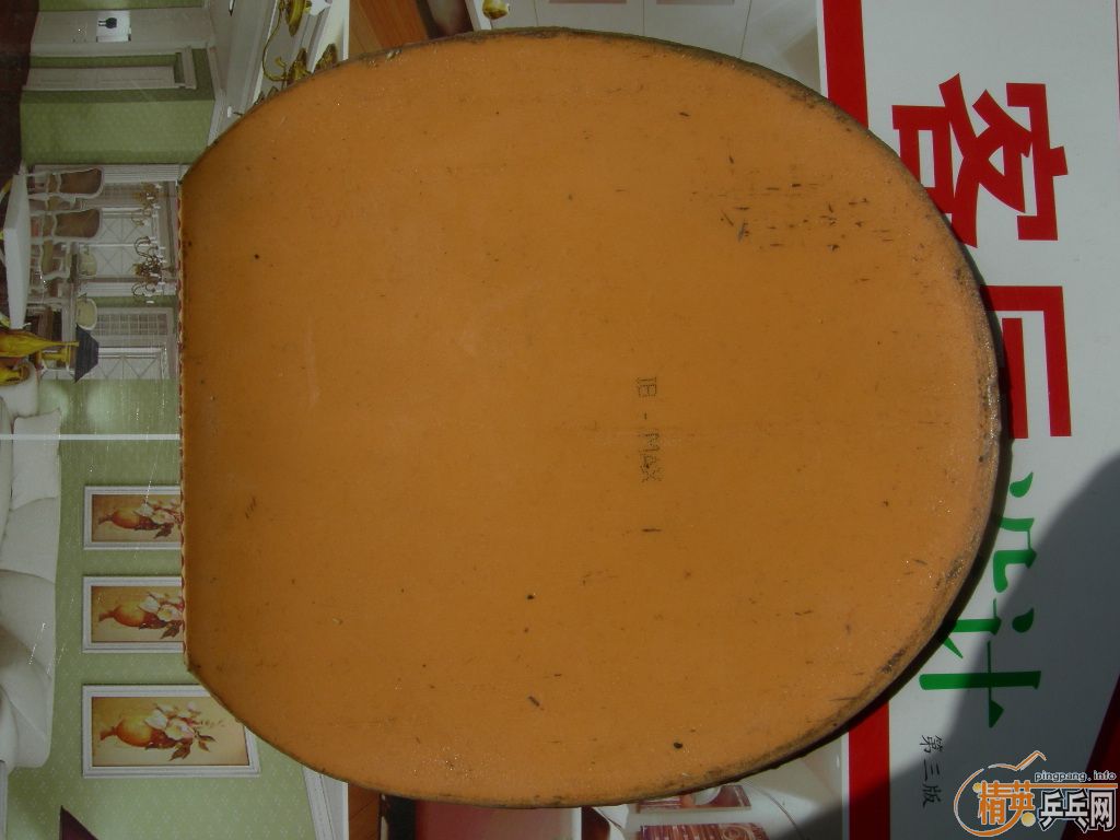 �����ѳ������ձ����ף����������꣡������