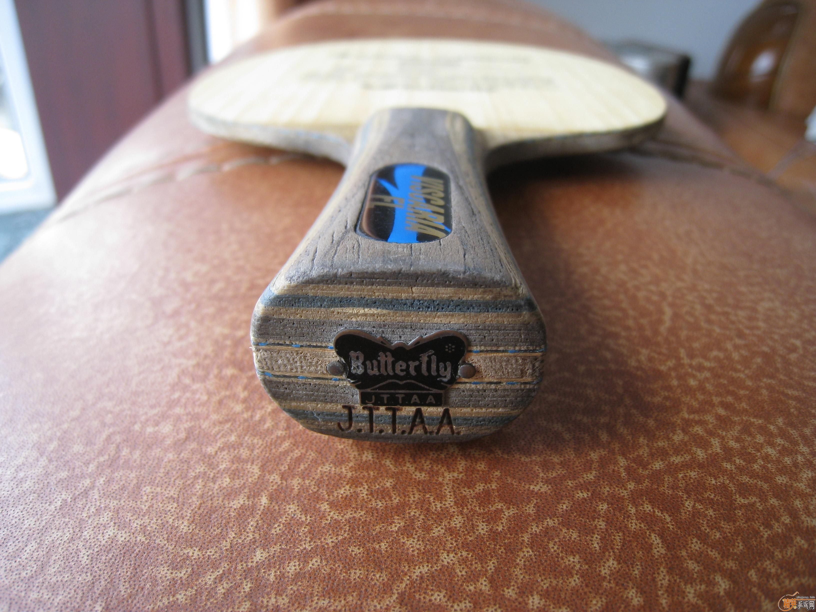 �������ƺ�������С����